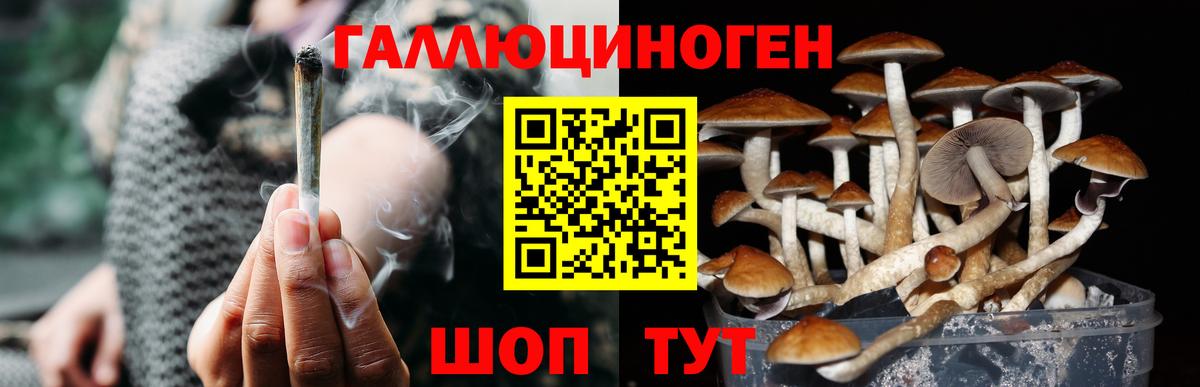 Галлюциногенные грибы мухоморы Чехов